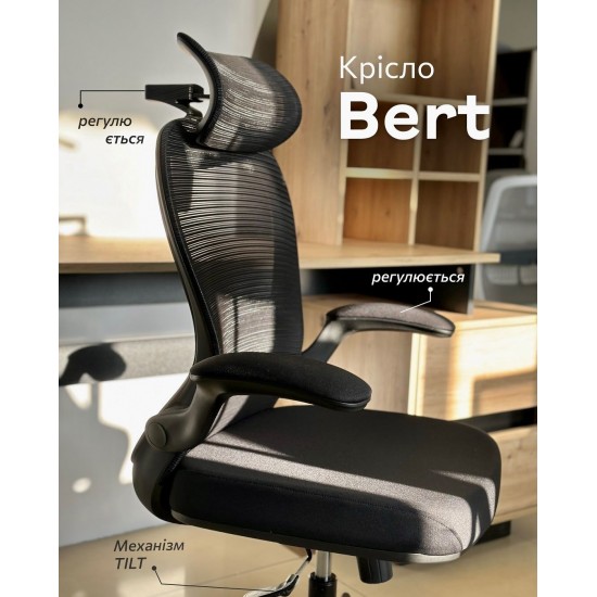 Кресло компьютерное BERT II Черный / Черный каркас 5