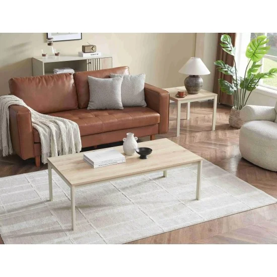 Журнальний столик FROST L1 дуб альпійський / білий 60х120 FROSTL1 2