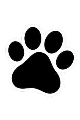 Покупка частями от monobank | Universal Bank