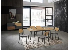 Стол обеденный раскладной Vitro II 120(160)х80 Дуб / Графит VITROIIDGR120