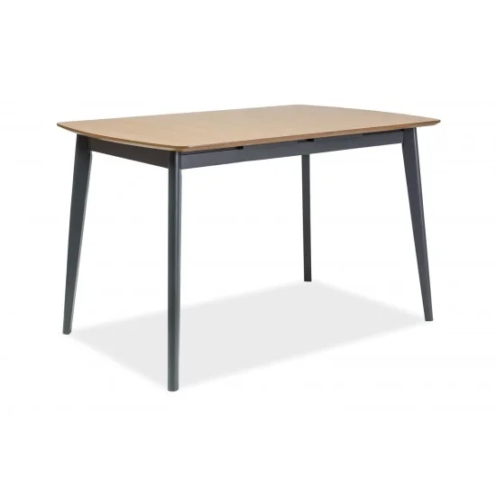 Стол обеденный раскладной Vitro II 120(160)х80 Дуб / Графит VITROIIDGR120 4