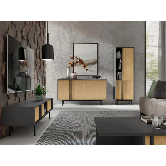 Тумба под телевизор ALSY REG 9 163х43х43 антрацит / дуб 4