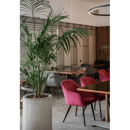 Кресло Elina Velvet Бордовый / Черный ELINAVCBO 6