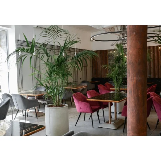 Кресло Elina Velvet Бордовый / Черный ELINAVCBO 2