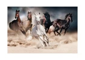 Картина на склі HORSES HORSES120
