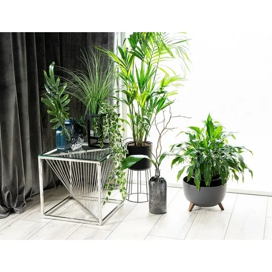 Журнальный столик FLAME B прозрачный / серебряный 55X55 FLAMEBTS 5