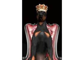 Картина на склі DOG IN CROWN 80X120 DOGINCROWN80