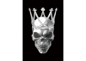Картина на склі SKULL II 80X120 SKULLII80