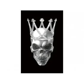 Картина на склі SKULL II 80X120 SKULLII80