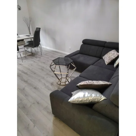 Журнальный стол Rolex 48х42 Дымчатый / Серебряный ROLEXSC 4