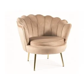 Кресло CAMELLIA 1 VELVET Беж BLUVEL 28 / Золотой CAMELLIAV1BEZL