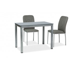 Стол обеденный Galant 100 x 60 Серый GALANTSZ100X60