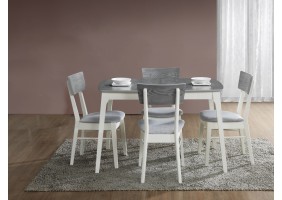 Стол обеденный Rimini 120х80 Серый / Белый RIMINISZB120