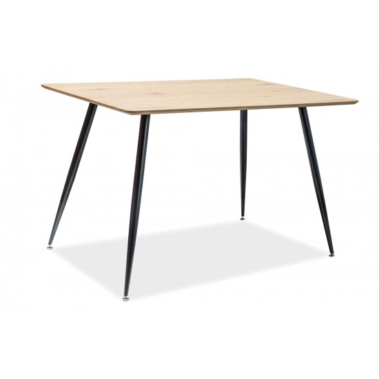Стол обеденный Remus 120х80 Дуб / Черный REMUSD120 3