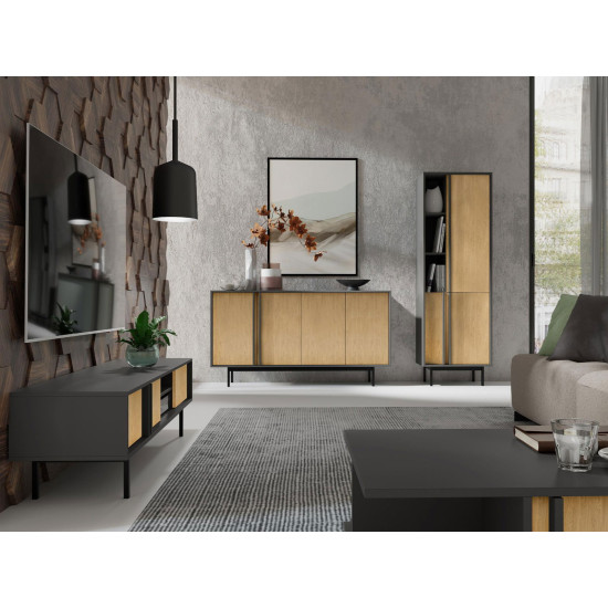 Тумба под телевизор ALSY REG 9 163х43х43 антрацит / дуб 4