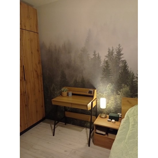 Компьютерный стол B-168 B168BRD 4