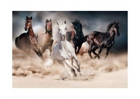 Картина на стекле HORSES HORSES120