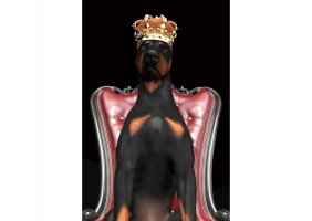 Картина DOG IN CROWN 80X120 DOGINCROWN80