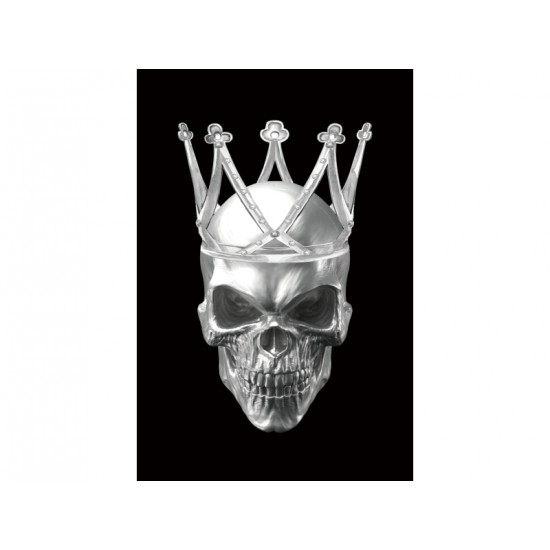 Картина на склі SKULL II 80X120 SKULLII80 1