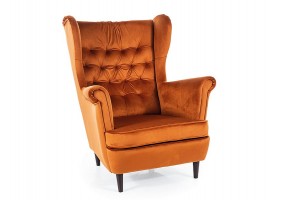 Крісло HARRY VELVET цинамон/венге BL.4215 HARRYV4215W