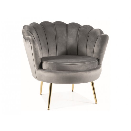 Крісло CAMELLIA 1 VELVET Сірий BLUVEL 14 / Золотий CAMELLIAV1SZZL 1