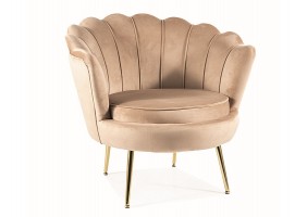 Крісло CAMELLIA 1 VELVET Беж BLUVEL 28 / Золотий CAMELLIAV1BEZL