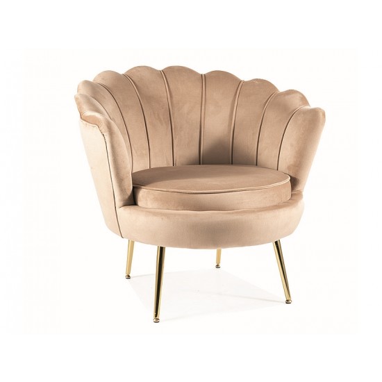 Крісло CAMELLIA 1 VELVET Беж BLUVEL 28 / Золотий CAMELLIAV1BEZL 1